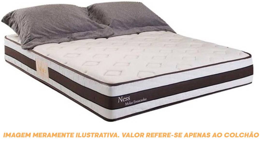 NESS-2