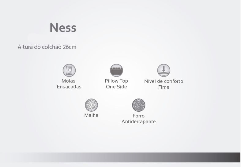 NESS-3