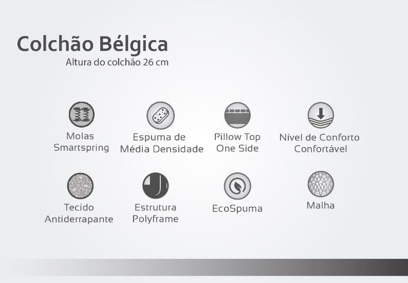 BELGICA-DADOS