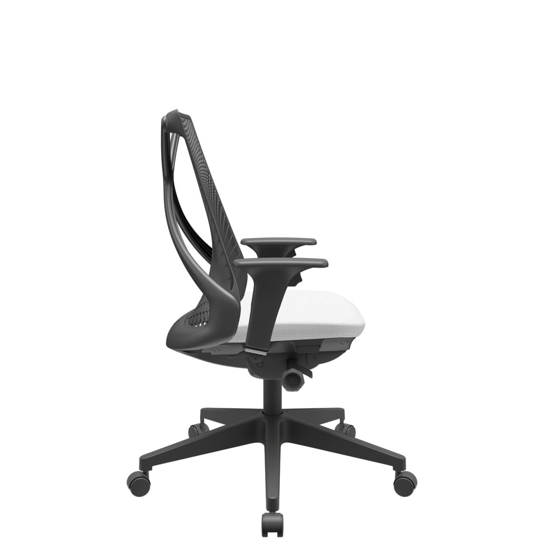 AERO-BRANCO2