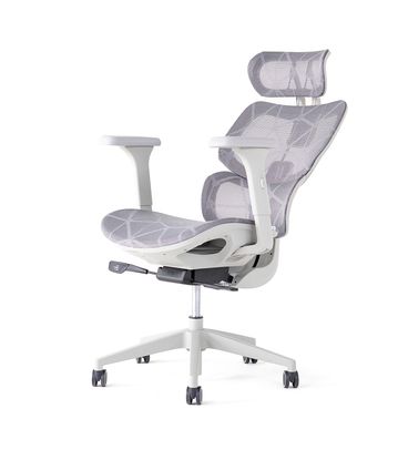 Cadeira Ergonômica Elements Siggy Cinza - 77552