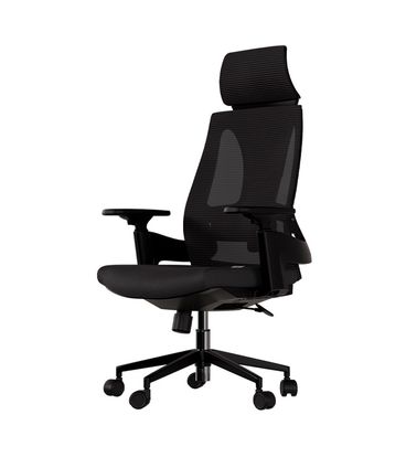 Cadeira Ergonomica Elements Helene Special Preta - 77550