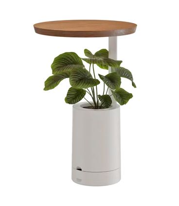Mesa de Apoio Amiata Vaso Elements Branco e Carvalho - 77562