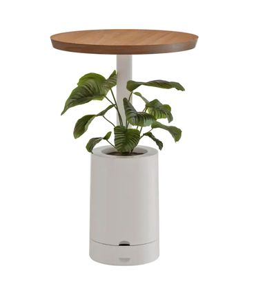 Mesa de Apoio Amiata Vaso Elements Branco e Carvalho - 77562
